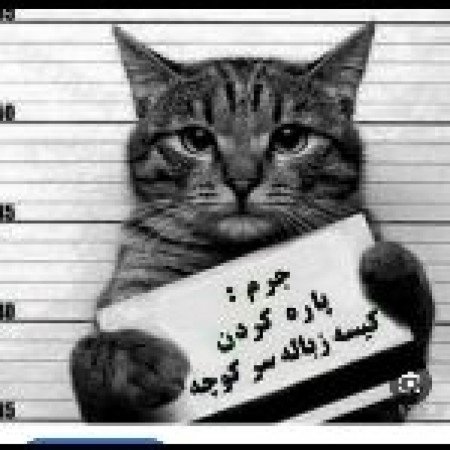  عکس سه خرس کله پوک برای پس زمینه