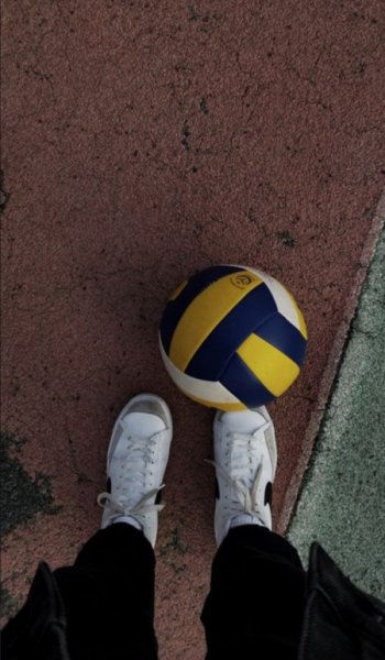  عکس سه خرس کله پوک برای پس زمینه