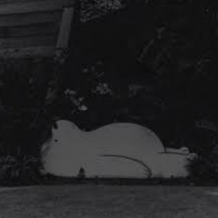 عکس سه کله پوک کیوت