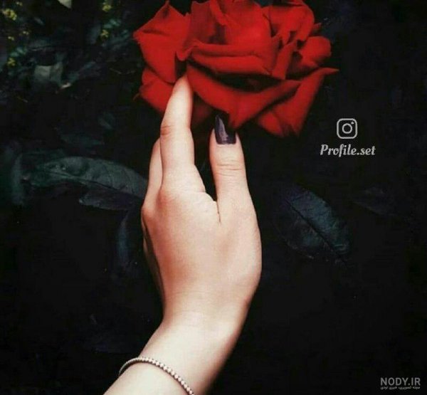 ژست عکس با شاخه گل رز