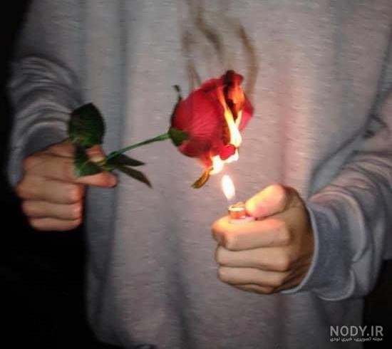 ژست عکس با شاخه گل رز