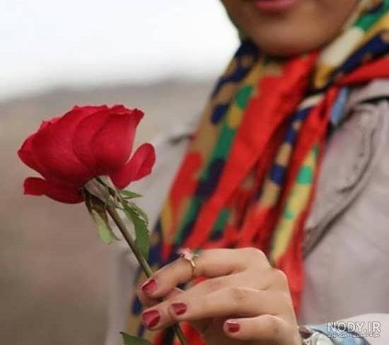 ژست عکس با شاخه گل رز