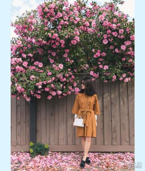 ژست عکس با شاخه گل رز