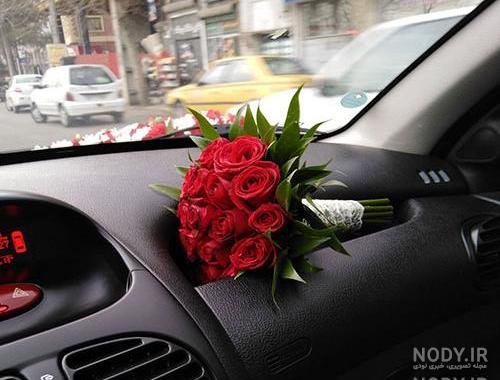  ژست عکس با شاخه گل رز