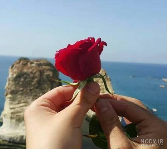  ژست عکس با شاخه گل رز