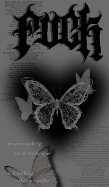  عکس پروانه ی آبی