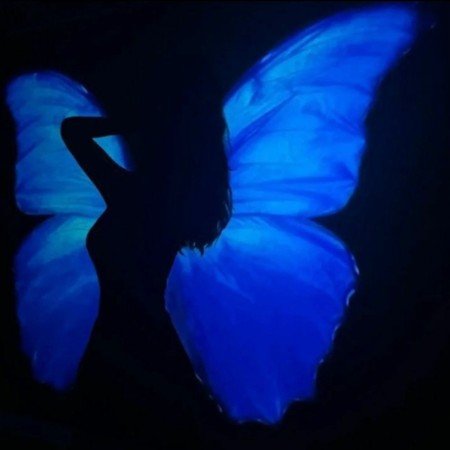  عکس پروانه ی آبی