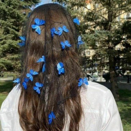  عکس پروانه ی آبی