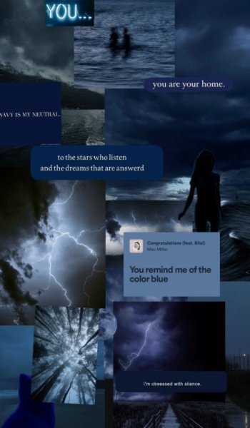  عکس پروانه ی آبی