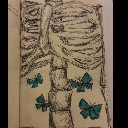  عکس پروانه ی آبی