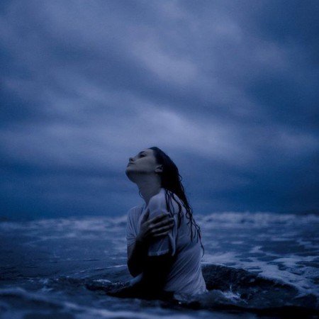  عکس پروانه ی آبی