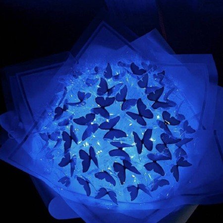  عکس پروانه ی آبی