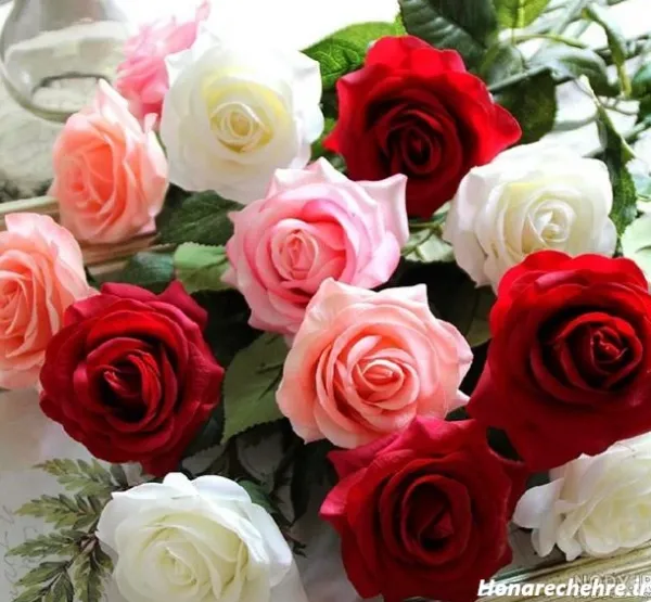  عکس گل رز قرمز عاشقانه برای پروفایل