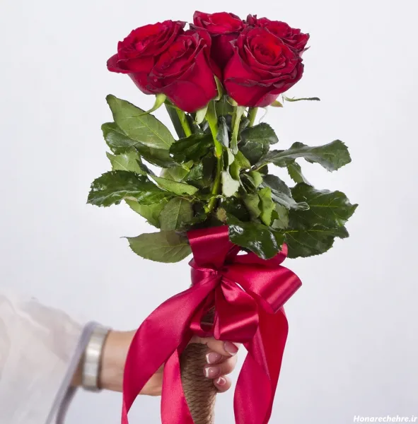 عکس گل رز قرمز در دست دختر