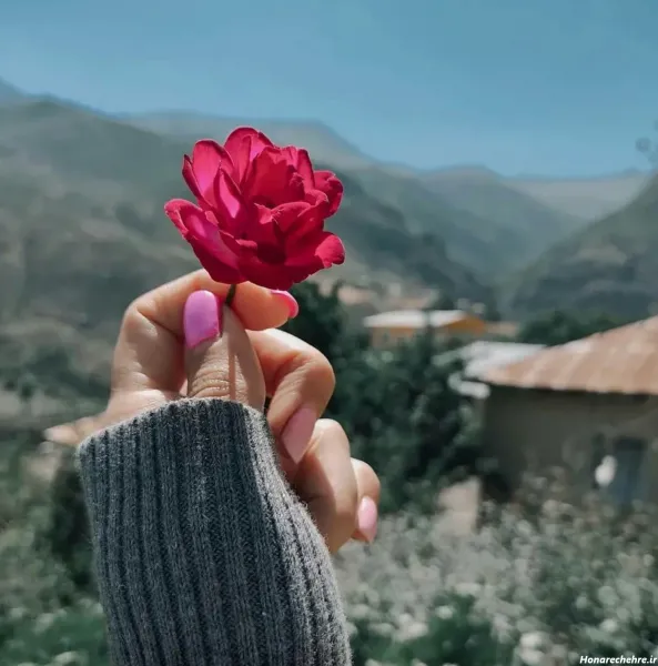  عکس گل رز قرمز در دست دختر