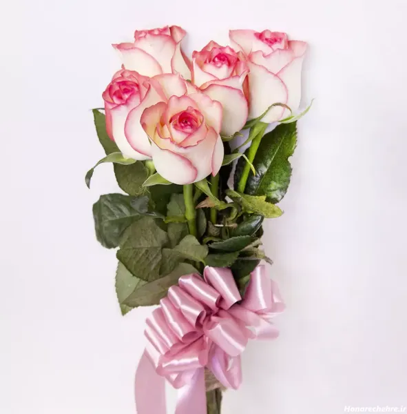  عکس گل رز قرمز در دست دختر