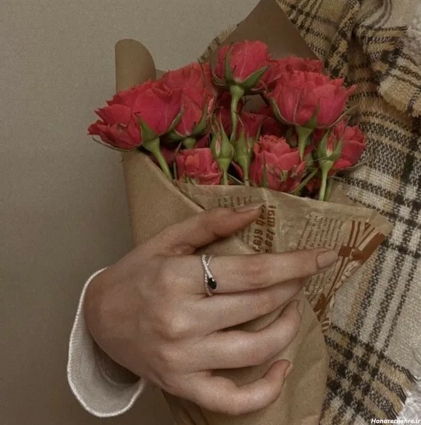  عکس گل رز قرمز در دست دختر