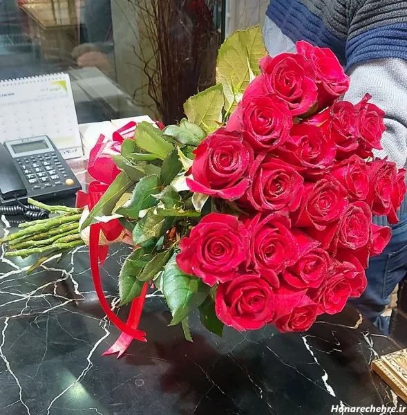  عکس گل رز قرمز در دست دختر