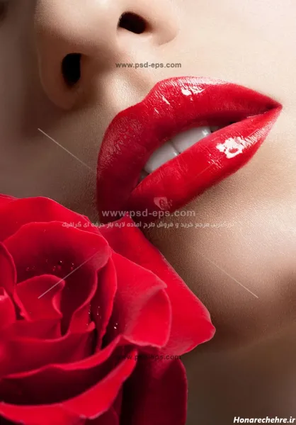  عکس گل رز قرمز در دست دختر