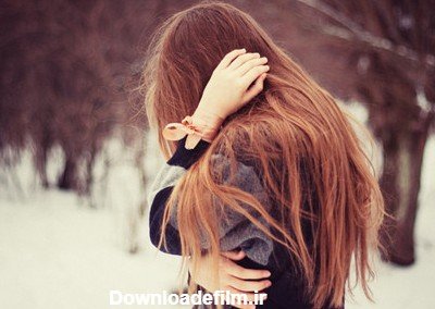  عکس گل رز قرمز در برف