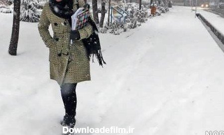  عکس گل رز قرمز در برف