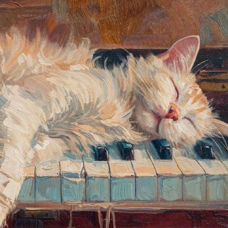  عکس گربه دارک