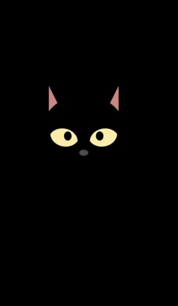  عکس گربه دارک