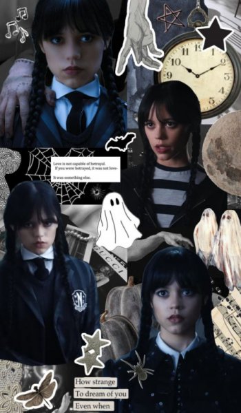  عکس گربه دارک