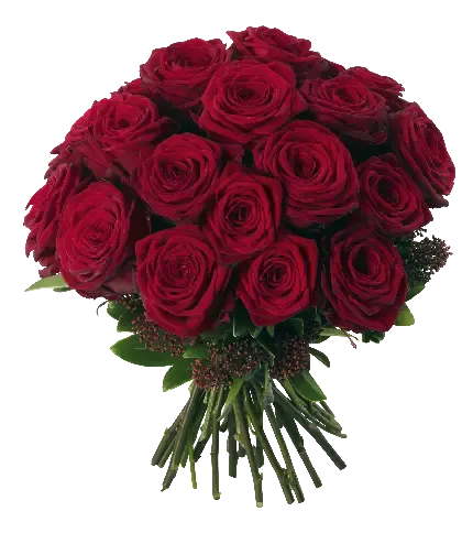  عکس گل رز قرمز و قلب