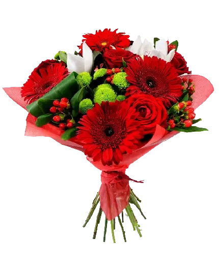  عکس گل رز قرمز و قلب