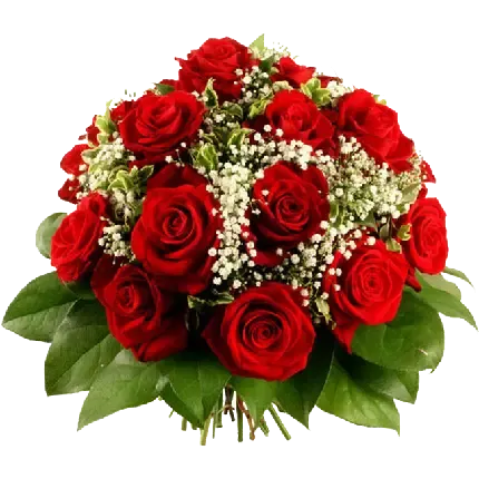  عکس گل رز قرمز و قلب