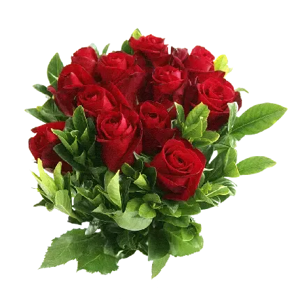  عکس گل رز قرمز و قلب