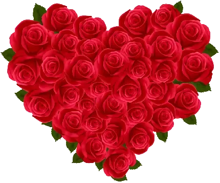  عکس گل رز قرمز و قلب