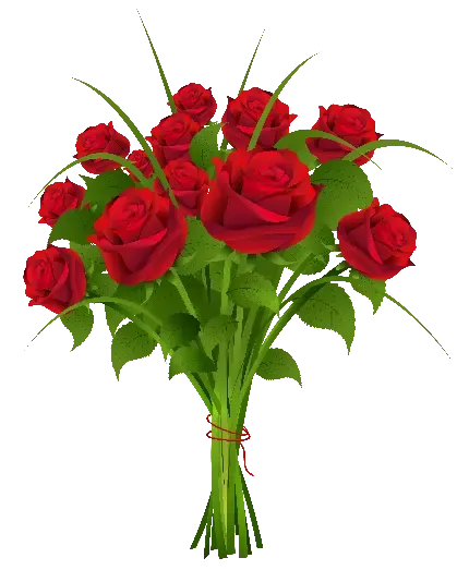  عکس گل رز قرمز و قلب