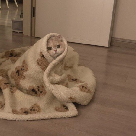  عکس نوشته دیوار