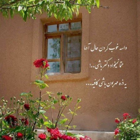  عکس نوشته دیوار
