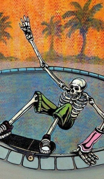  عکس اسکیت برد