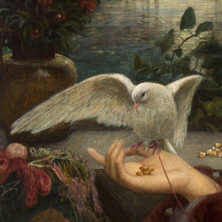  عکس اسکیت برد