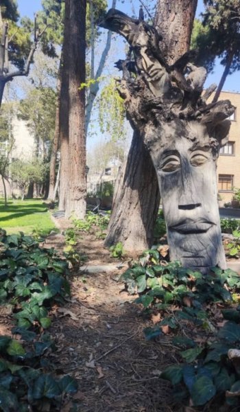  عکس اسکیت برد