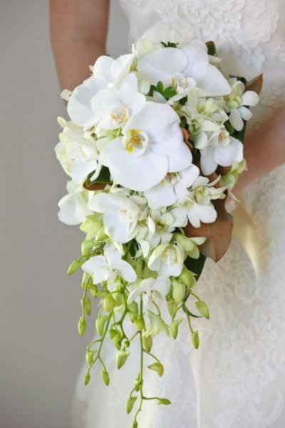  عکس با دسته گل عروس