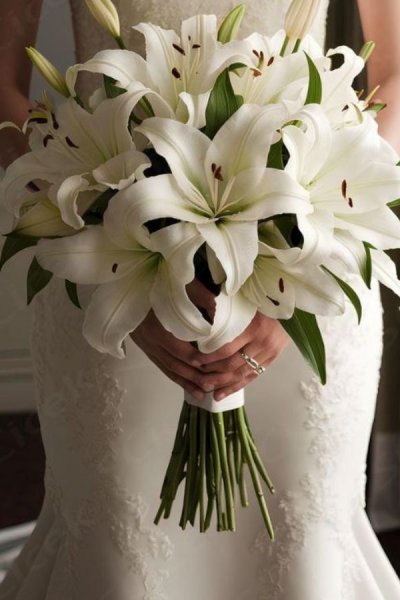  عکس دسته گل عروس جدید