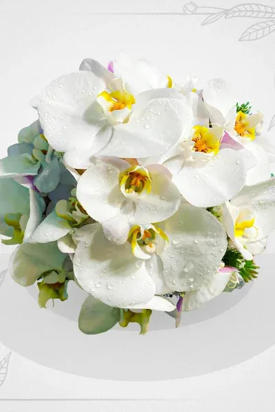  عکس دسته گل عروس ارکیده