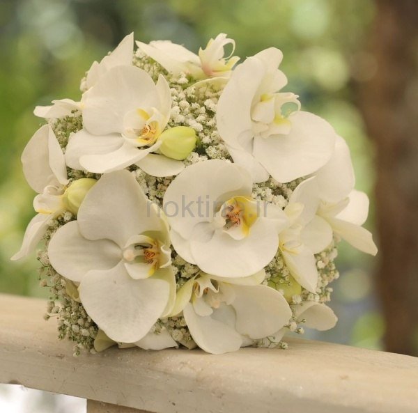  دسته گل عروس سفید