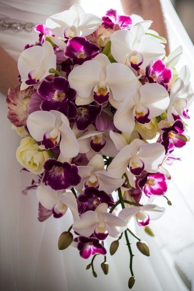  عکس دسته گل عروس و داماد