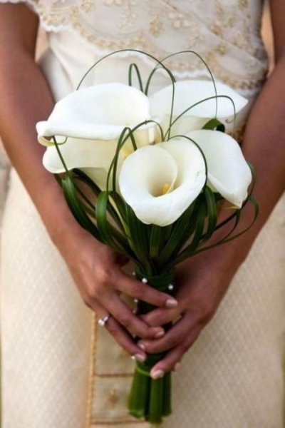  عکس دسته گل عروس و داماد