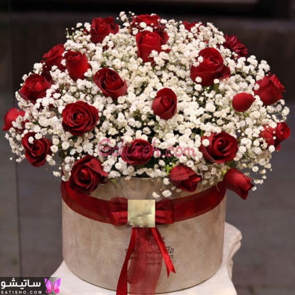  عکس دسته گل خواستگاری