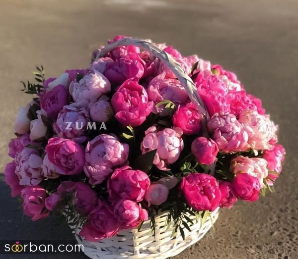  عکس گل خواستگاری در منزل