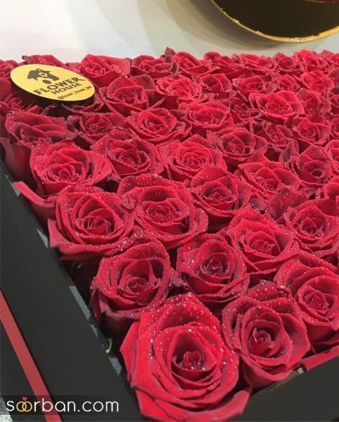  عکس گل خواستگاری در منزل