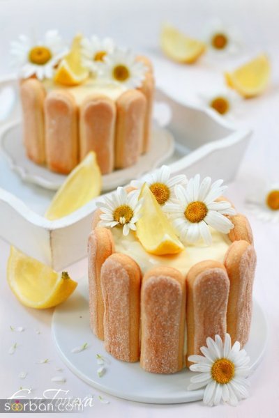  عکس شیرینی خواستگاری