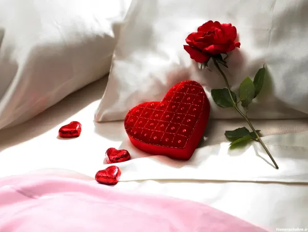  عکس گل برای پروفایل واتساپ